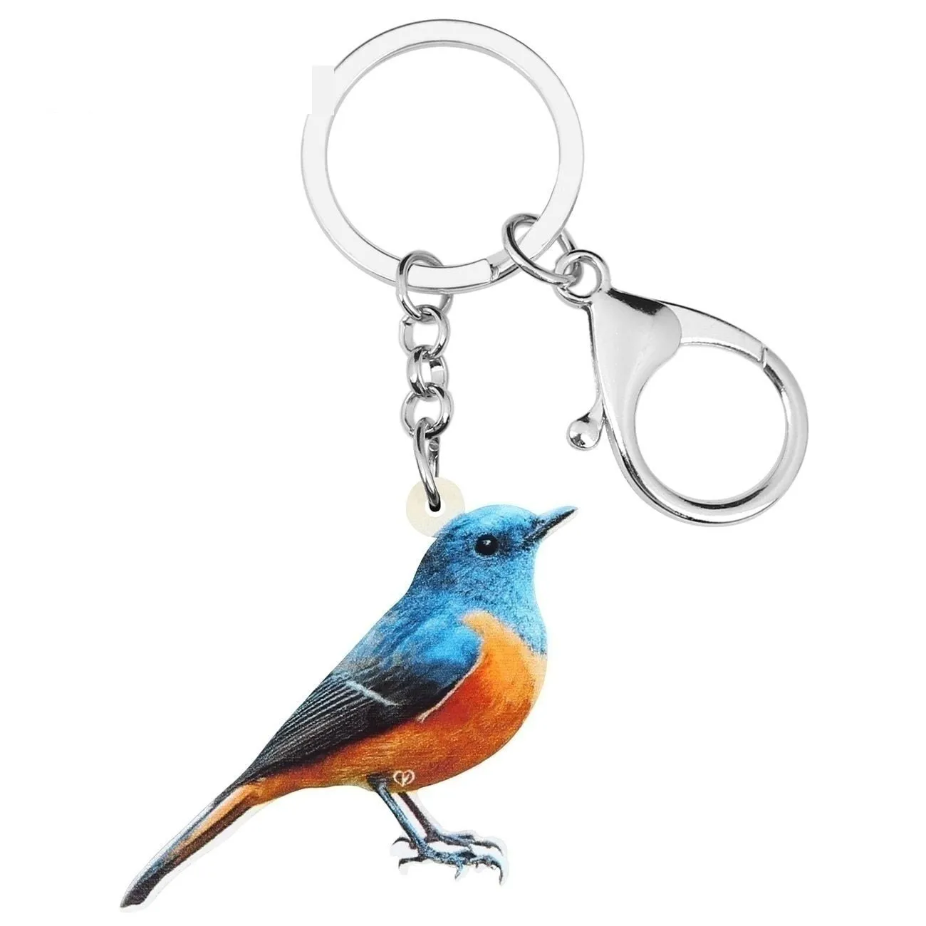 Acrylic Cute Red-flanked Bush Robin Bird Charm Animal Keychains Jewelry