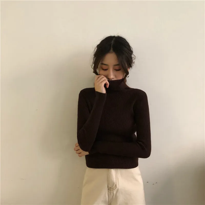 Chic Turtleneck Sweater KF9416