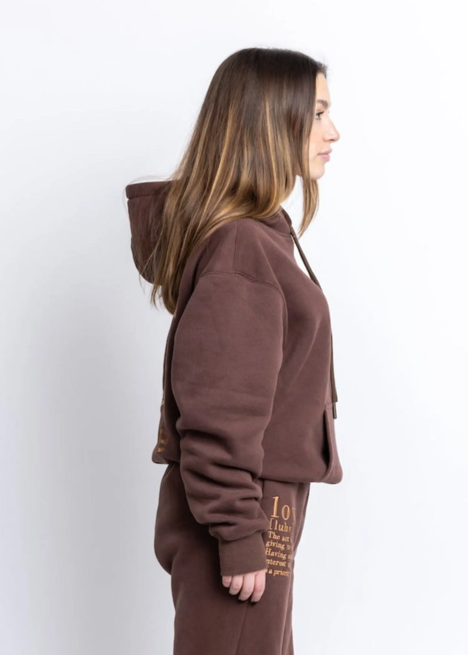 Eagan Hoodie Brown