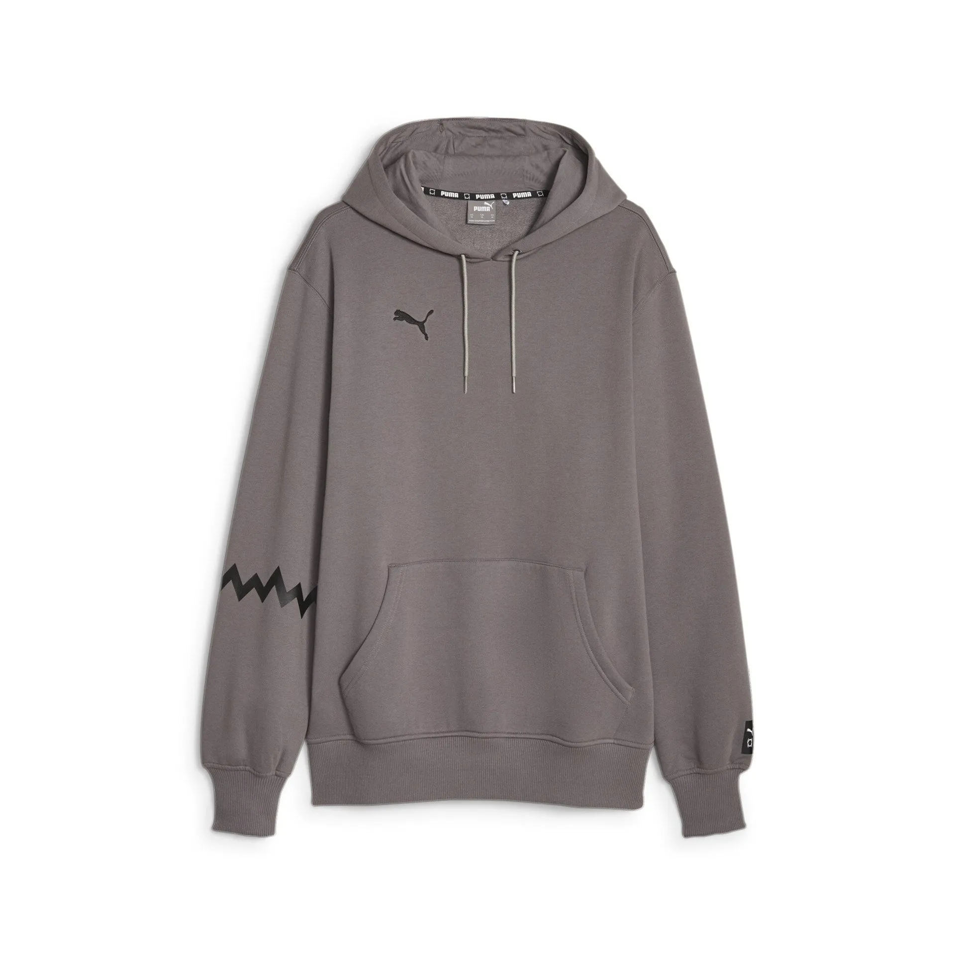 PUMA Hoops Team Hoodie