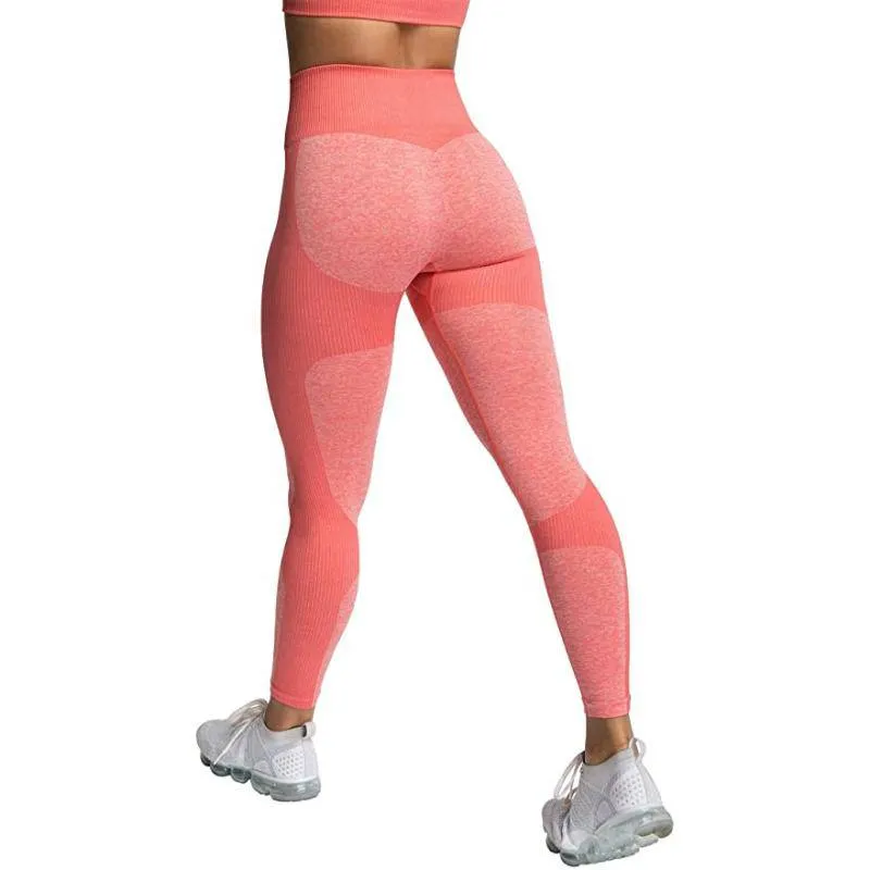 Vivian Seamless Tight Workout Set