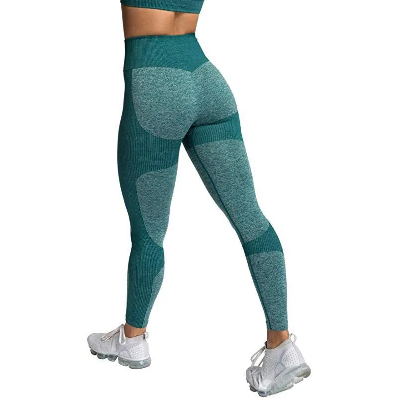 Vivian Seamless Tight Workout Set