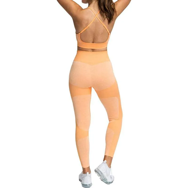 Vivian Seamless Tight Workout Set