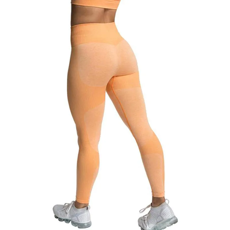 Vivian Seamless Tight Workout Set