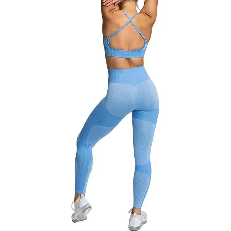 Vivian Seamless Tight Workout Set