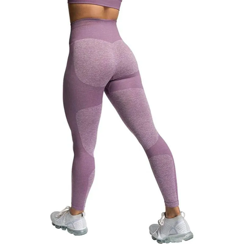 Vivian Seamless Tight Workout Set